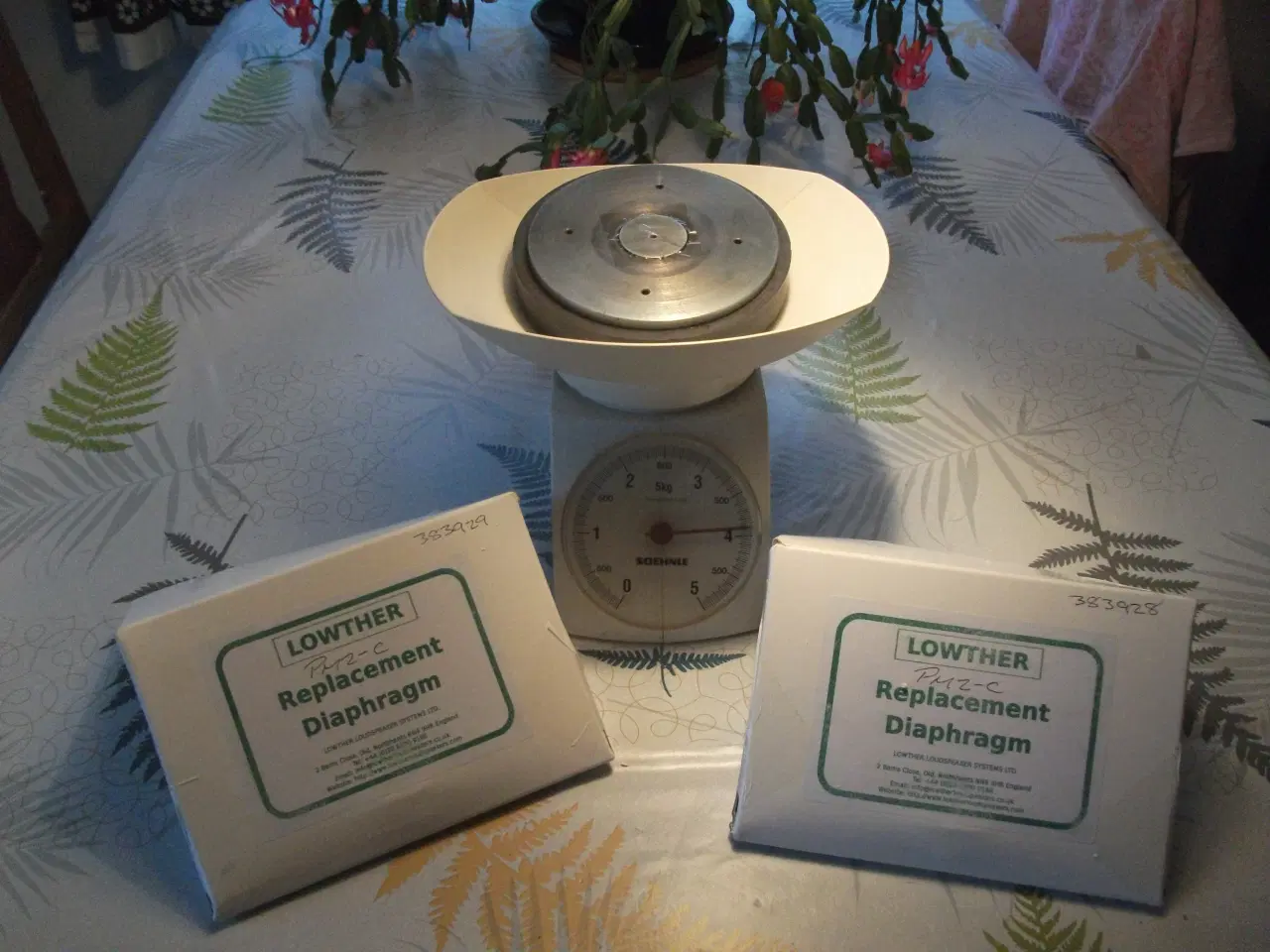 Billede 1 - Lowther PM 2C i Bicor 200