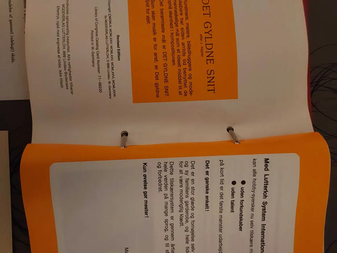 Billede 8 - Det gyldne snit, Maria Aloisia Lutterloh