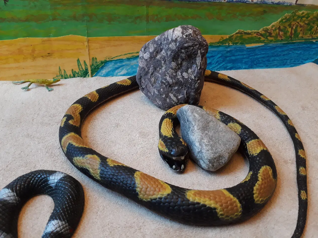 Billede 7 - 2 Slanger med krybdyr