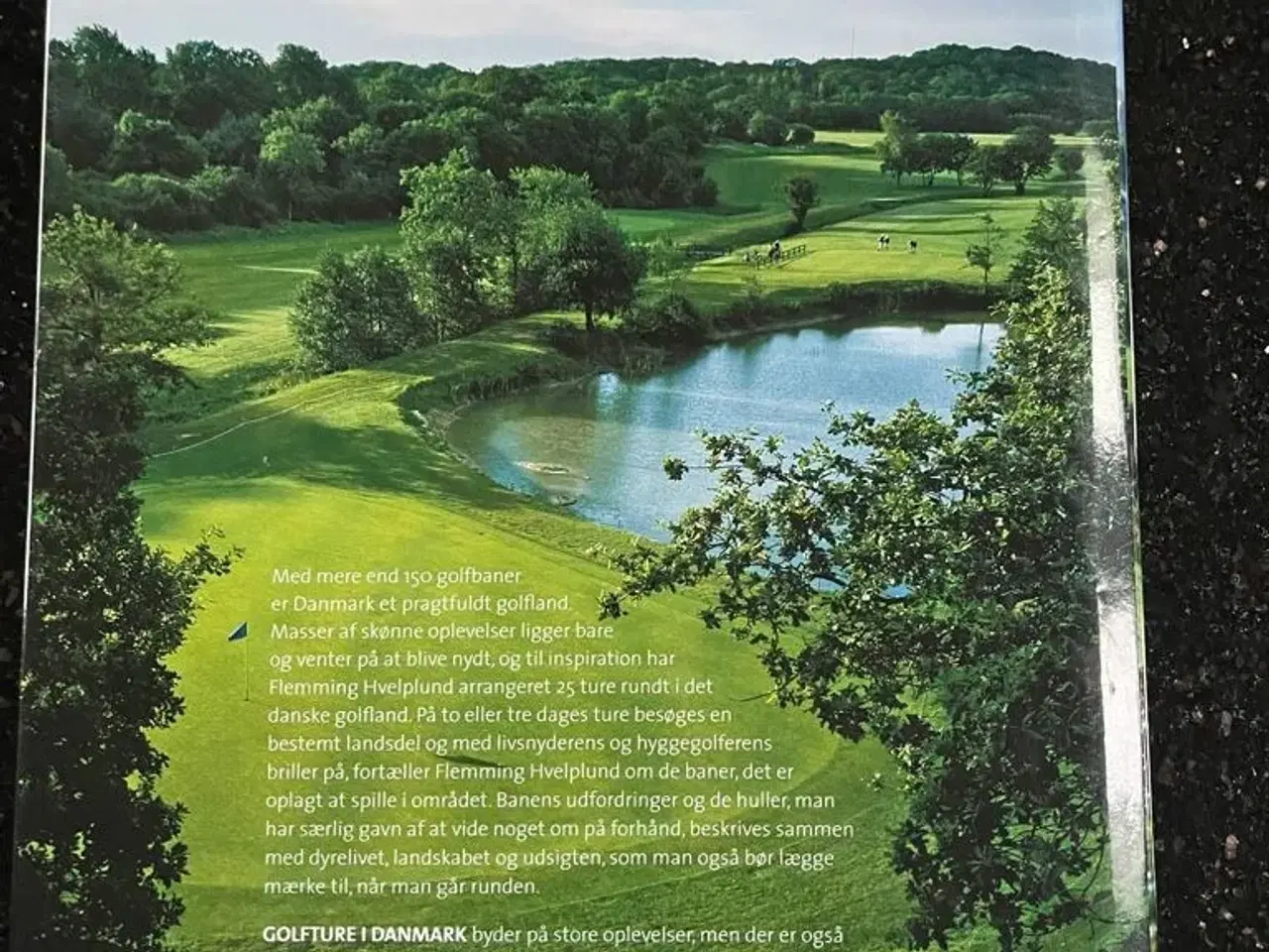 Billede 2 - Golfture i Danmark