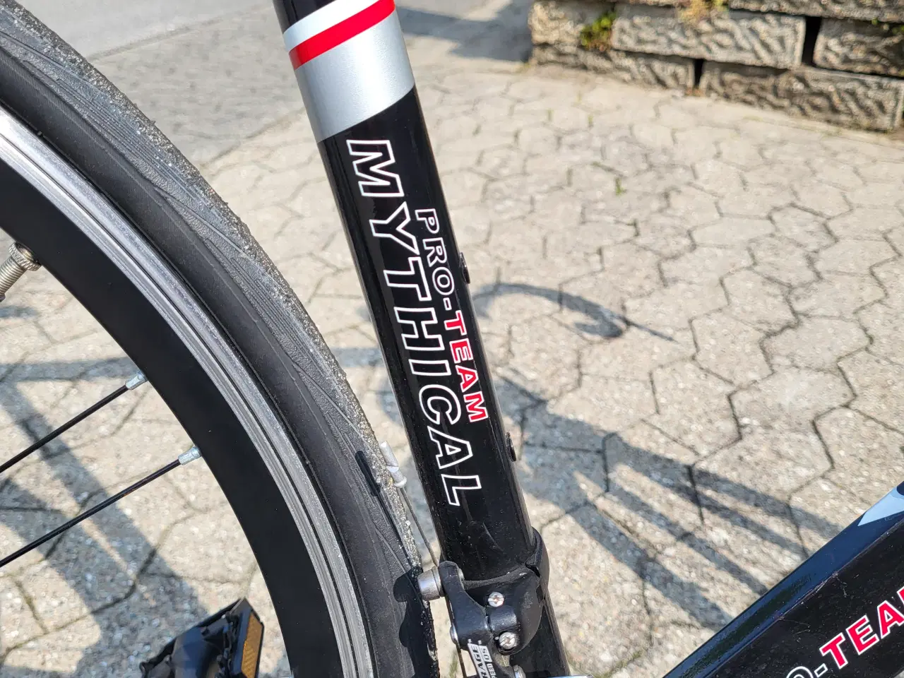 Billede 5 - Usædvanlig velholdt Coppi racercykel 