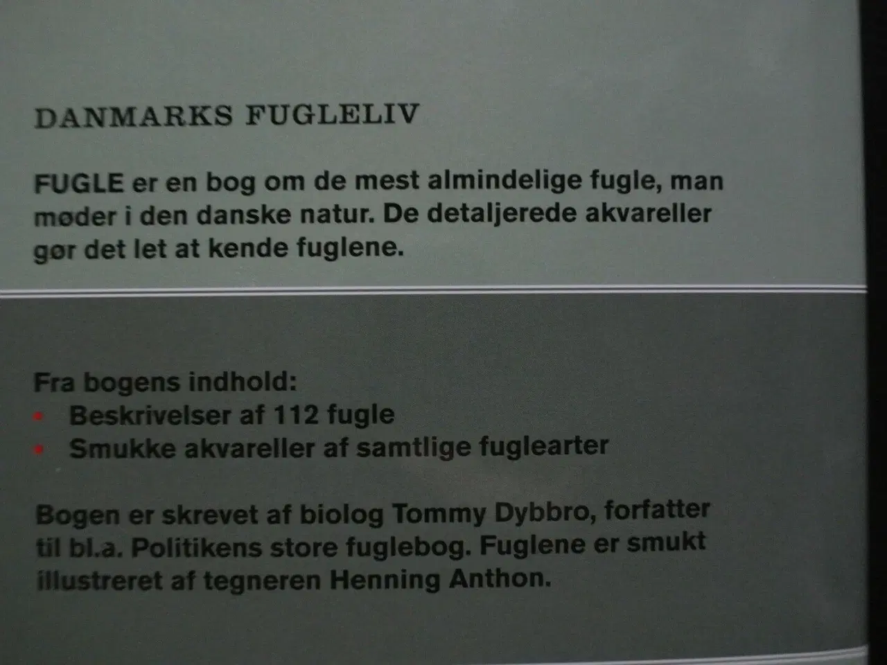 Billede 4 - fugle, Af tommy dybbro, emne: dyr