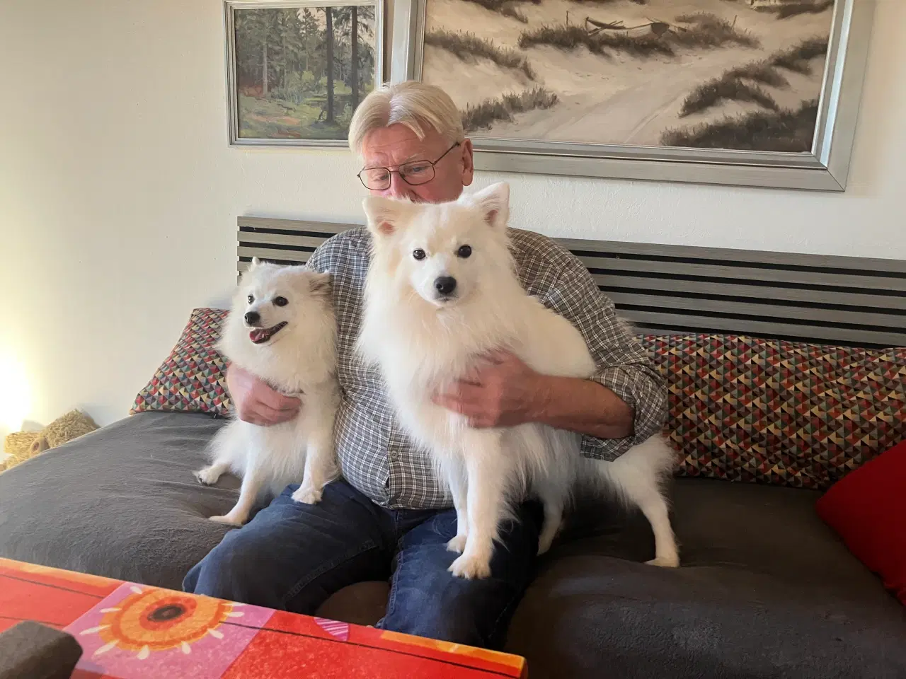 Billede 2 - Japanske snebolde 