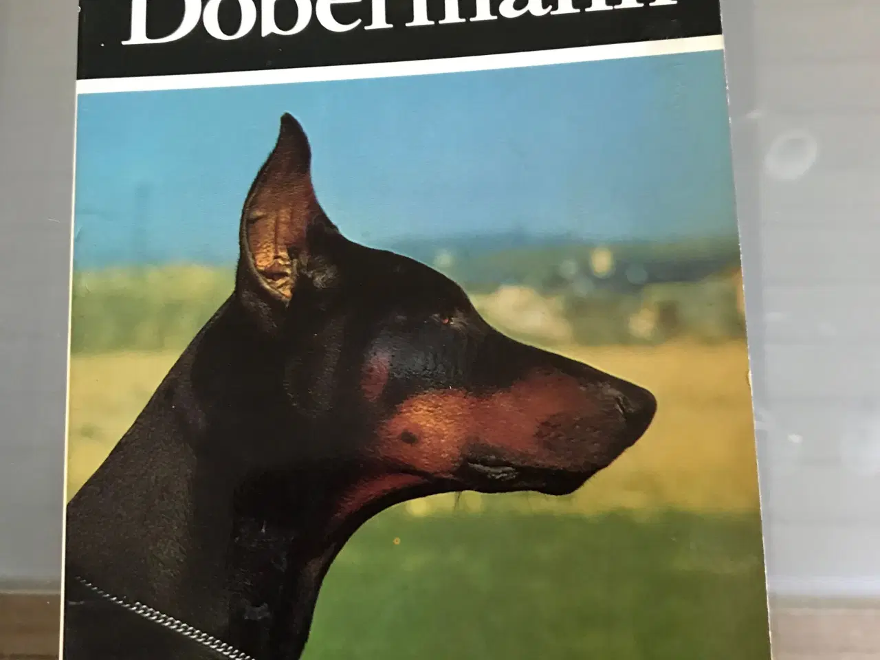 Billede 2 - Hundebøger