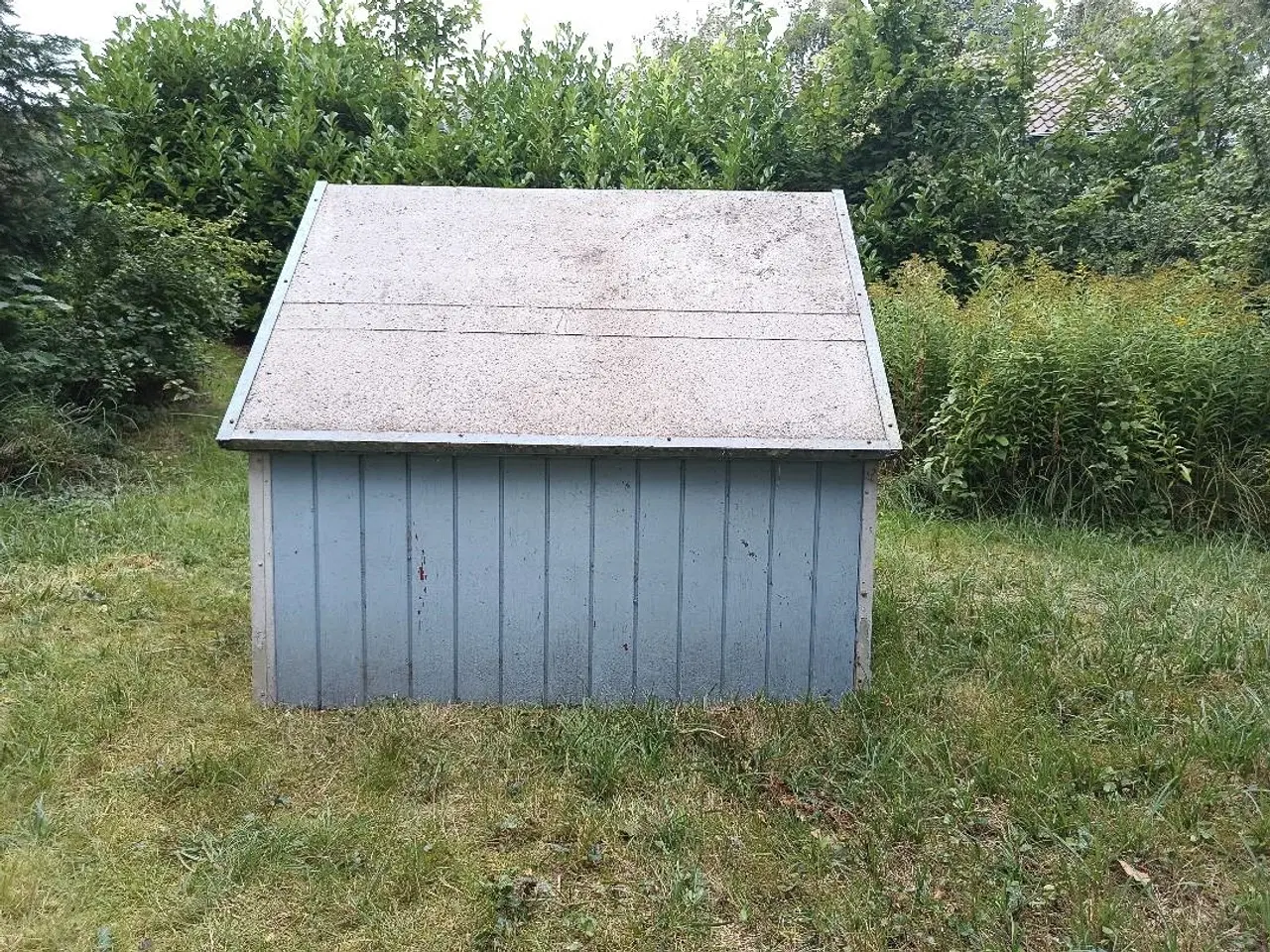 Billede 4 - Stort hundehus kan afhentes gratis.
