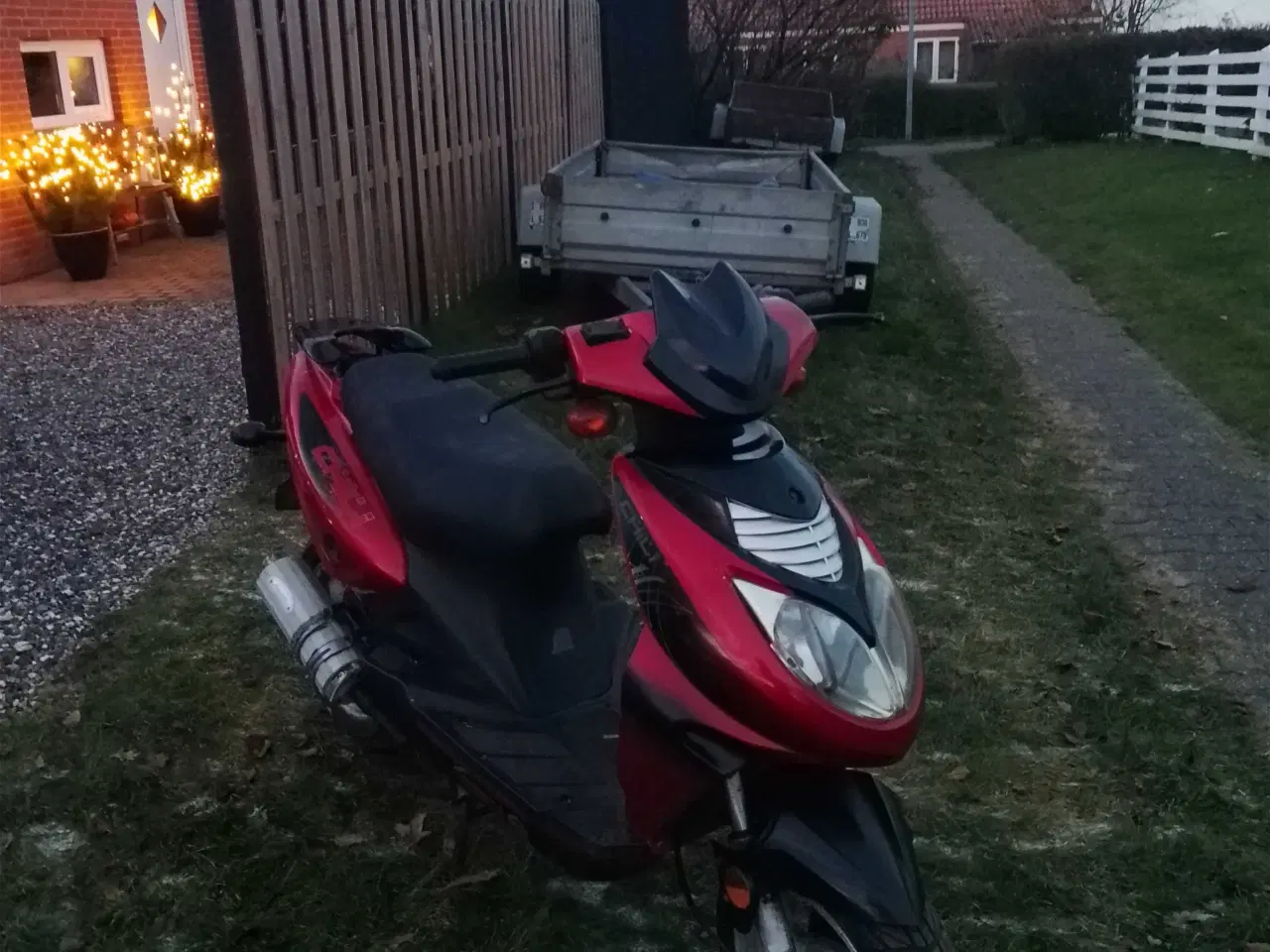 Billede 3 - Texas chilli 30kmt lovlig 