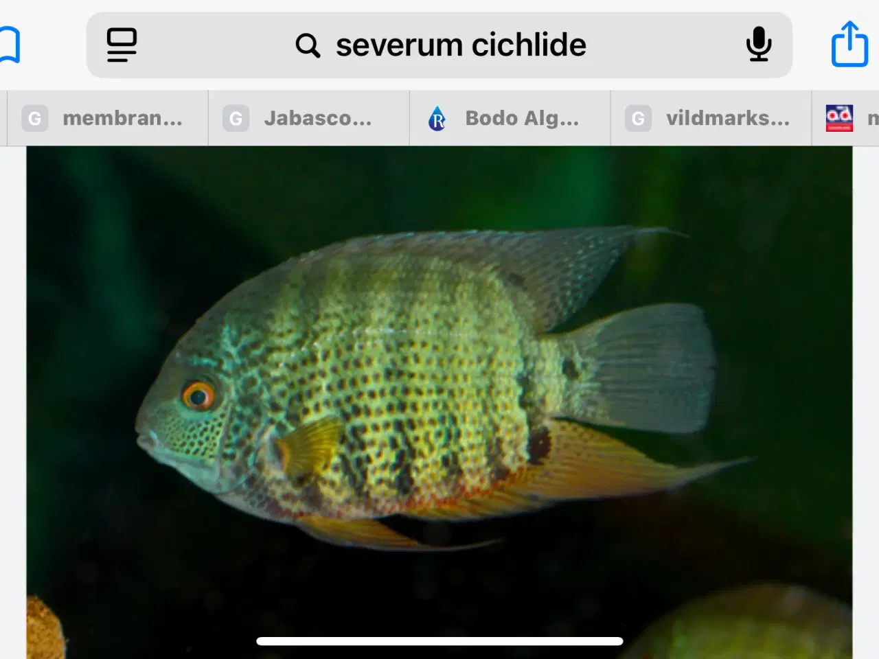 Billede 2 - Serverrum chiklide