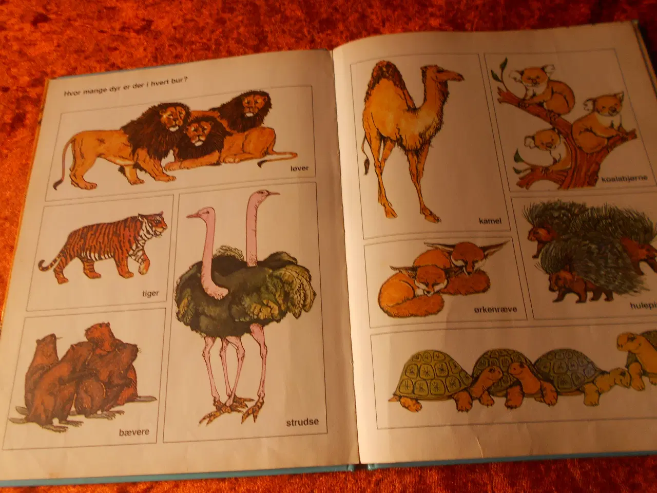 Billede 3 - I zoologisk have, Vibeke von Magius,
