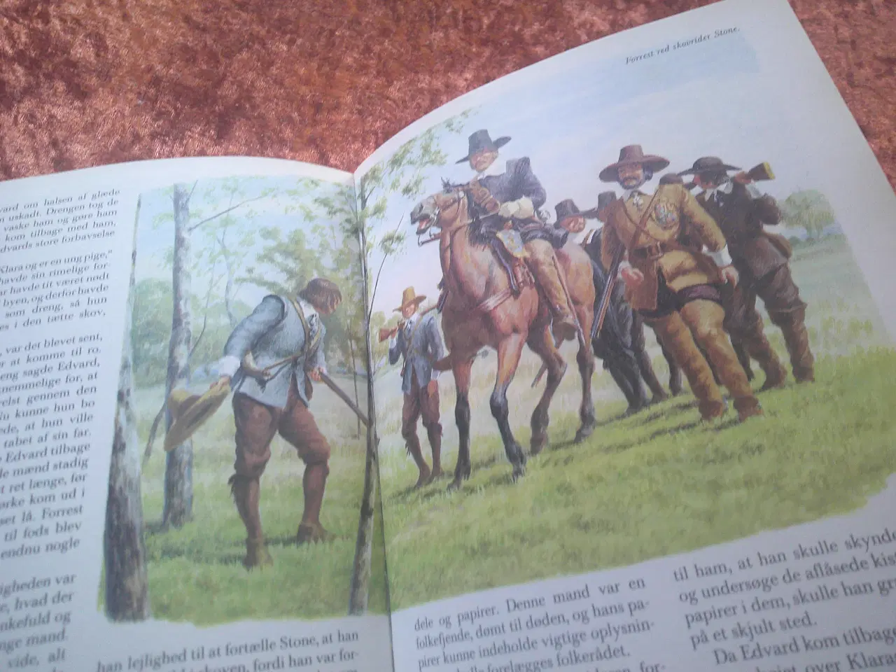 Billede 4 - Børnene i Nyskoven, F. Marryat