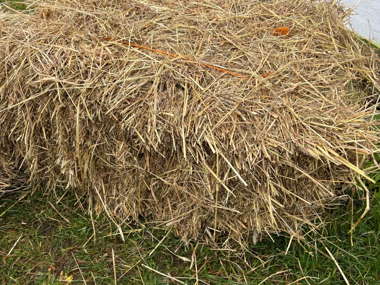 Billede 3 - Hø fra juli 2025