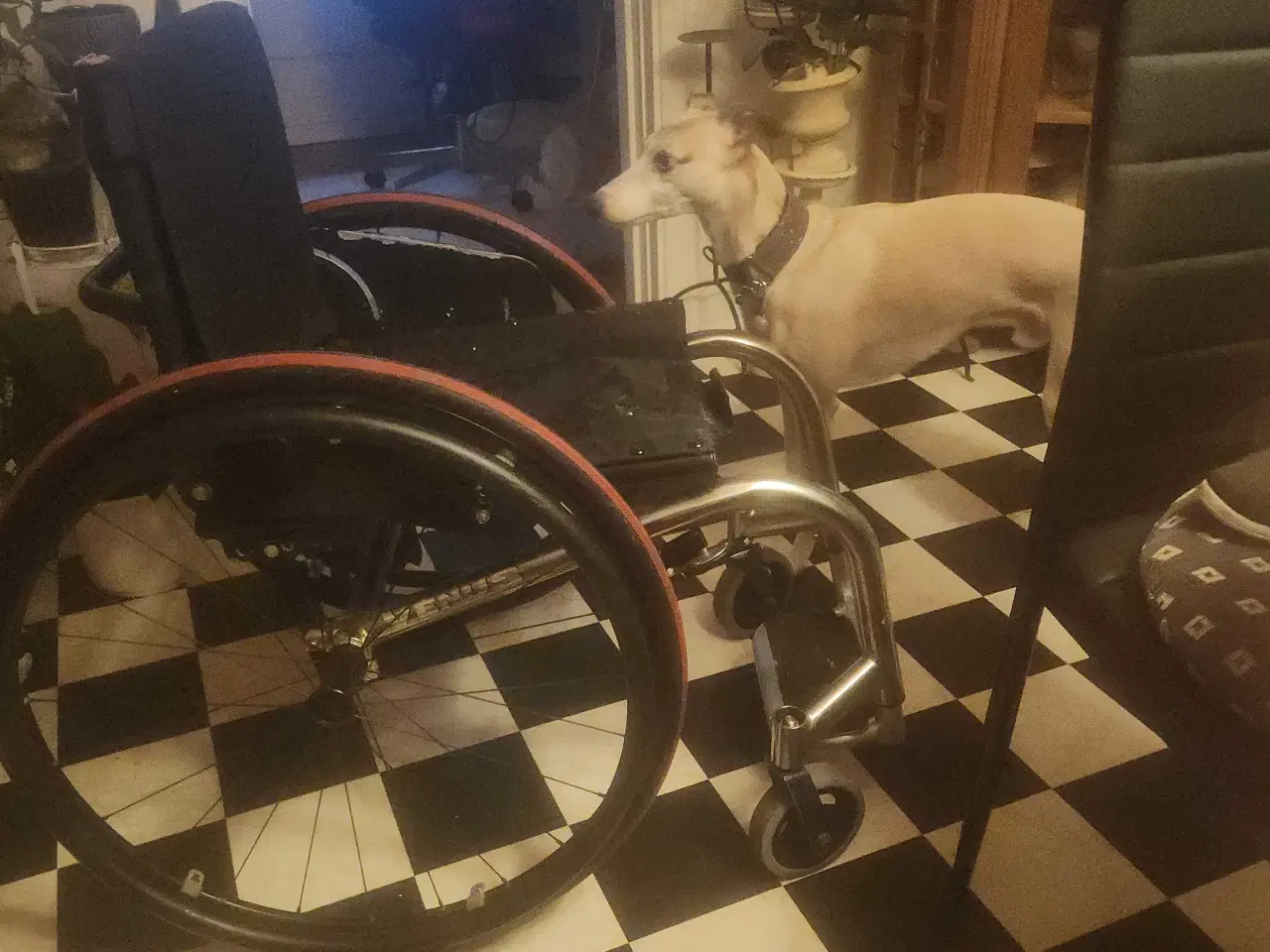 Billede 1 - Kørestol aktiv 38cm