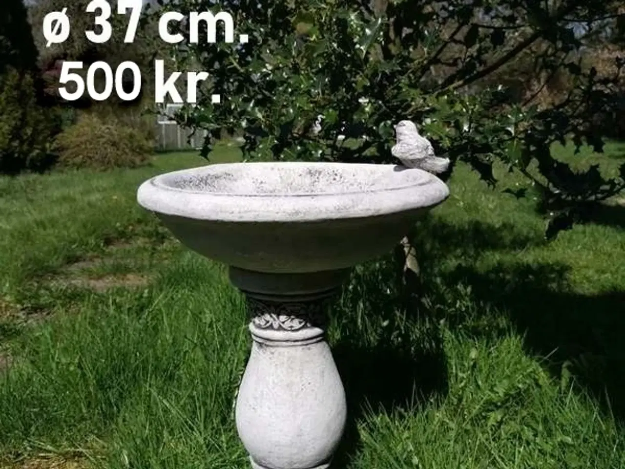 Billede 11 - FUGLEBAD - MANGE modeller - frostsikker beton