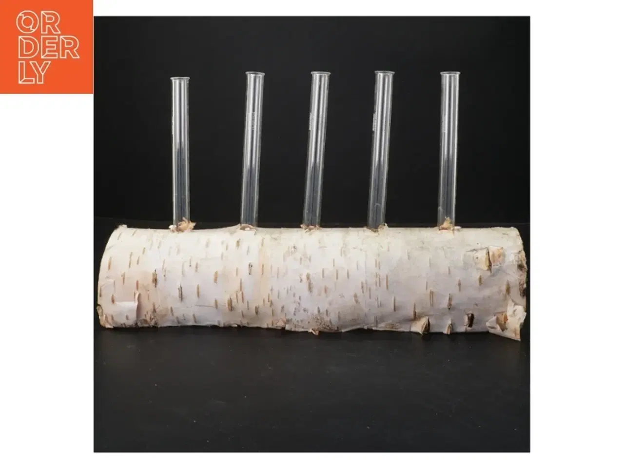 Billede 1 - Unik blomsterholder i birketræ med reagensglas (str. 35x21 cm)