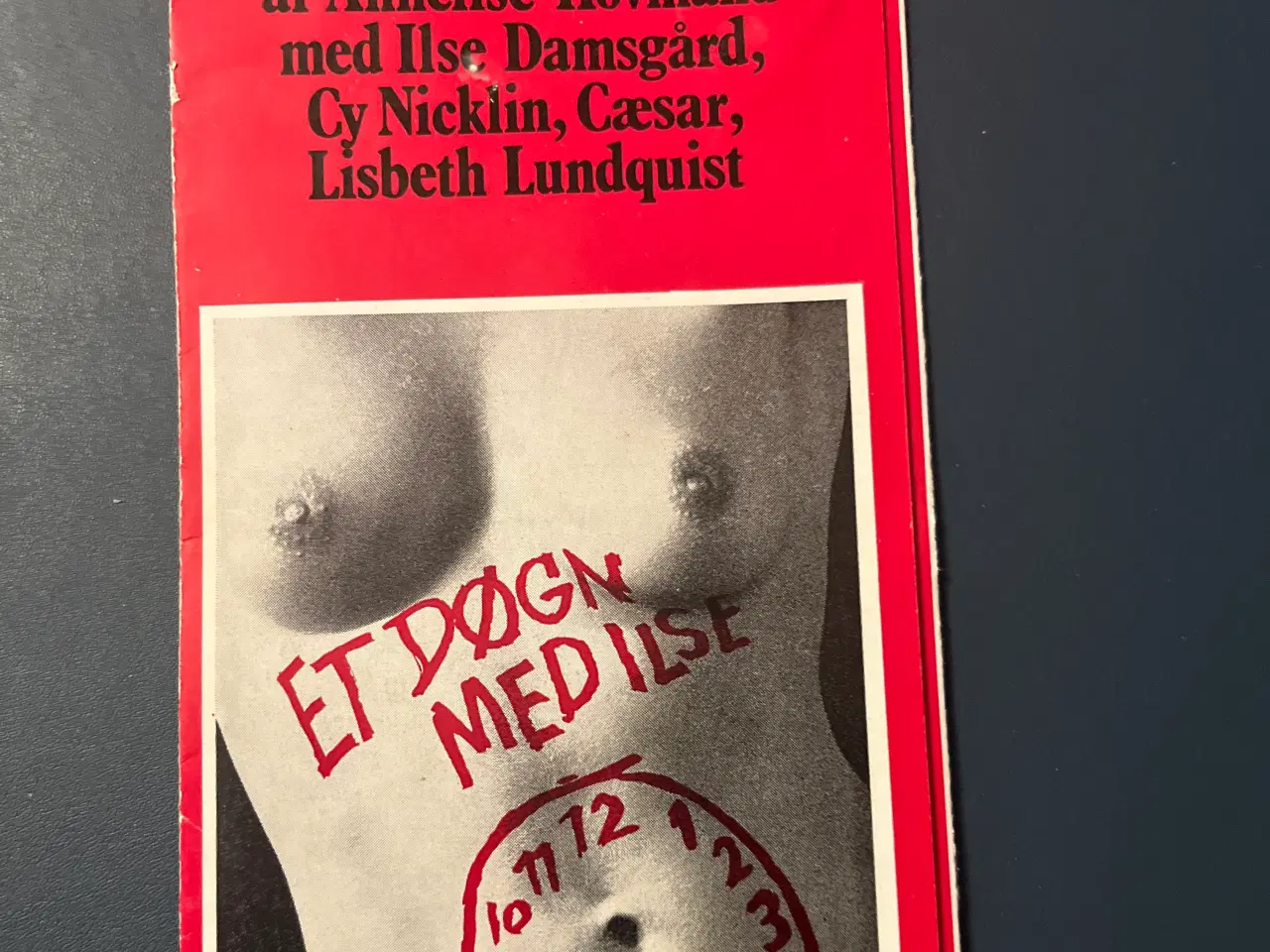 Billede 1 - et døgn med Ilse