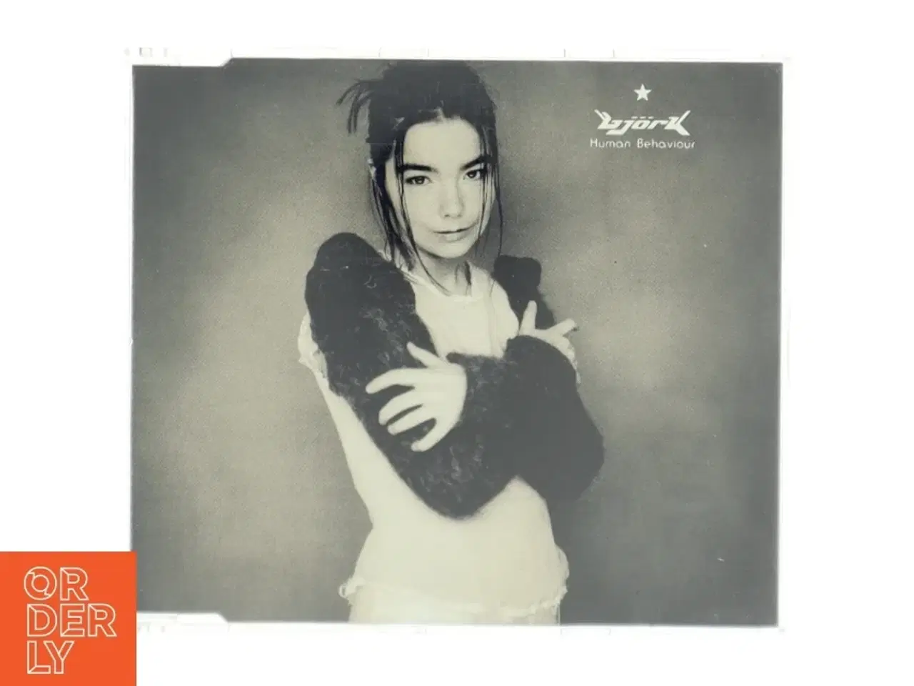 Billede 1 - Bjrk