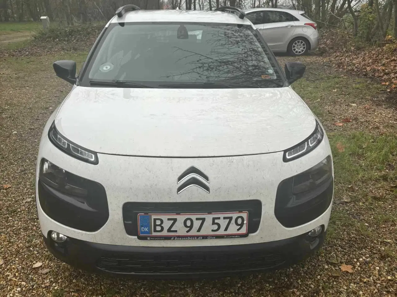 Billede 4 - Citroen c4 cactus