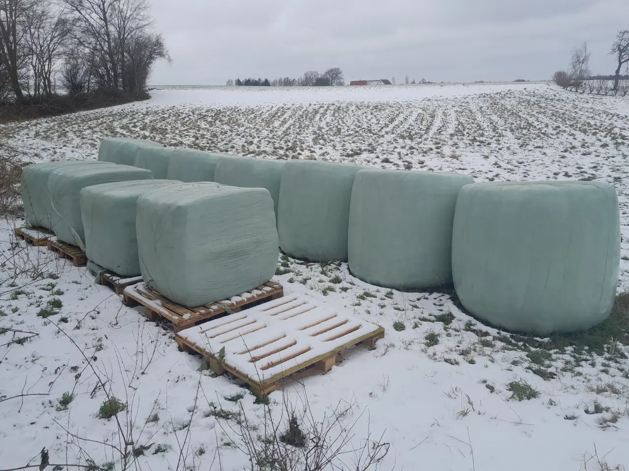 Billede 2 - Wraphø sælges på Østfyn