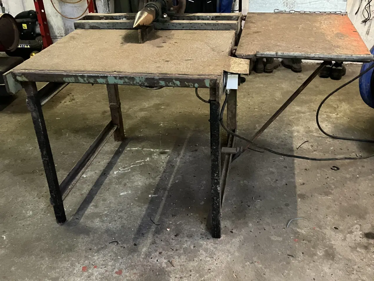 Billede 2 - Keglekløver 