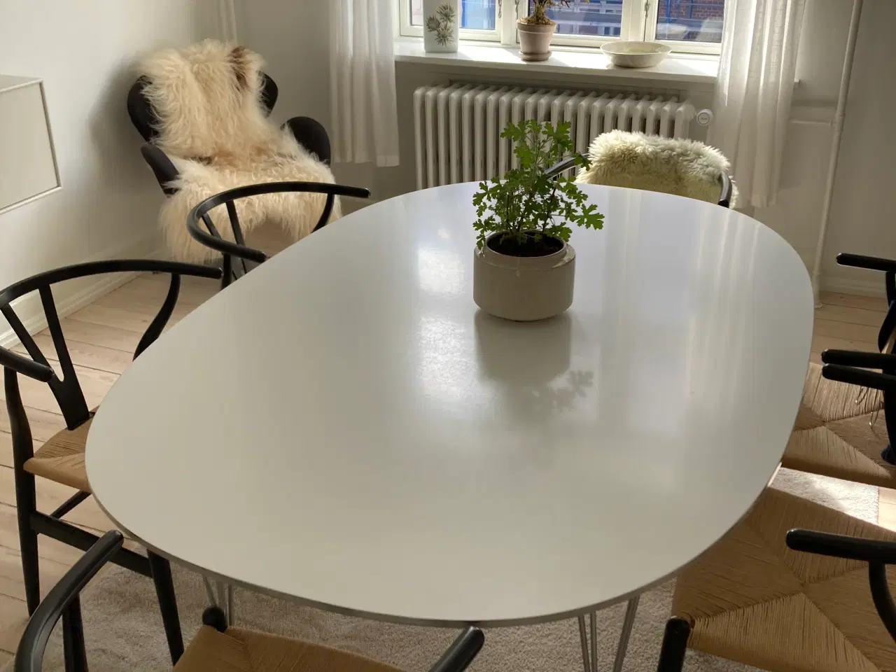 Billede 1 - Piet Hein super ellipse