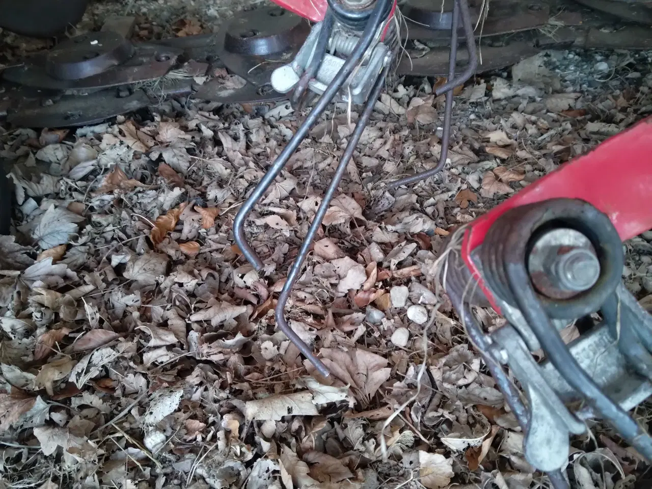 Billede 4 - Lely høvender