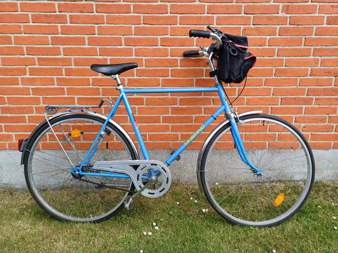 Billede 1 - Mustang Sport