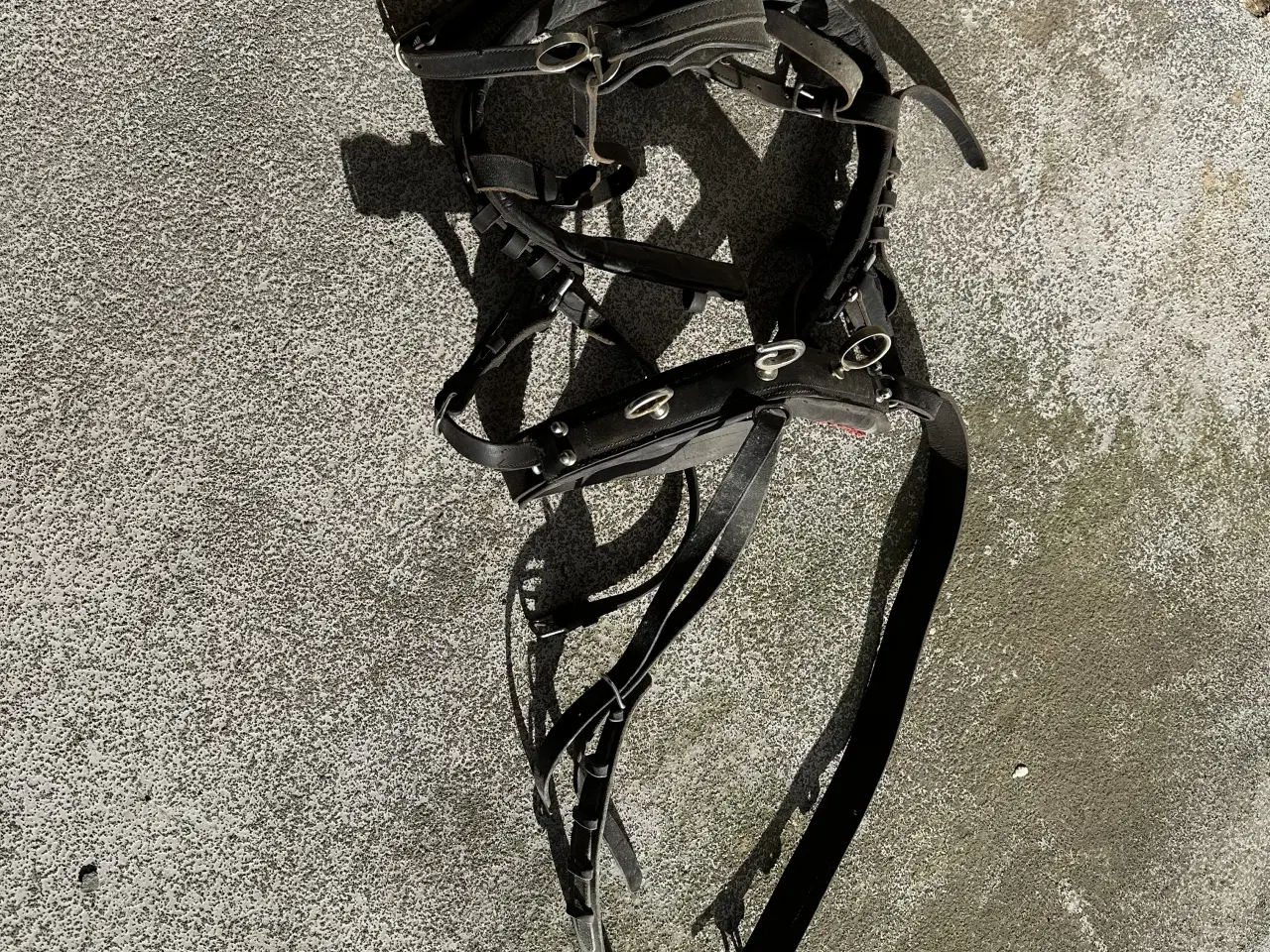 Billede 2 - Køresele / bringesele til mellem hest