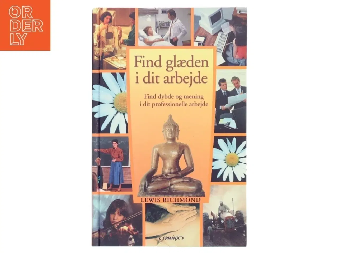 Billede 1 - Find glæden i dit arbejde : fyld dit arbejde med dybde og mening af Lewis Richmond (Bog)