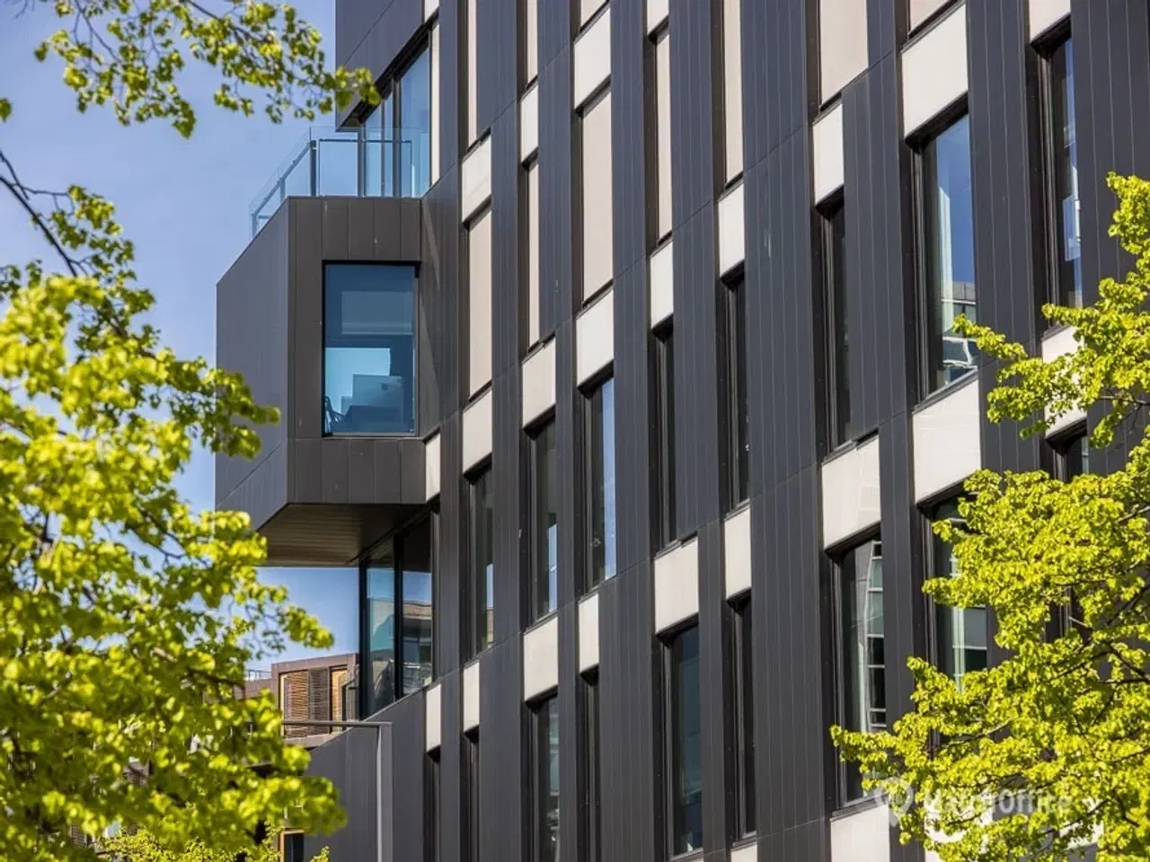 Billede 5 - Mikado House – alt det medarbejderne ønsker sig under samme tag