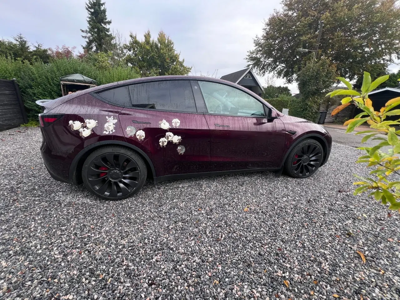 Billede 4 - Tesla Model Y  Performance AWD