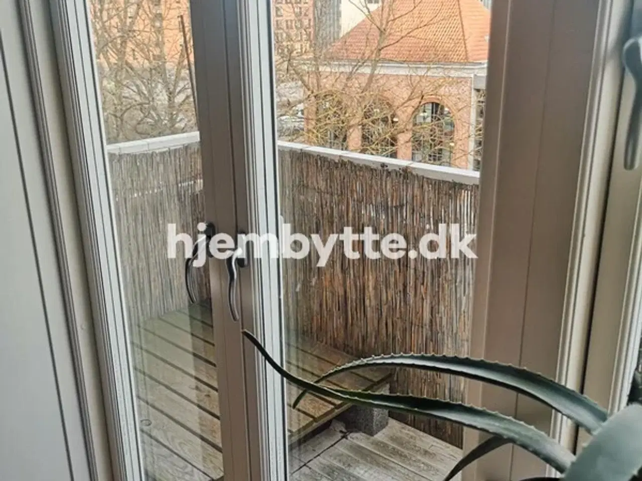 Billede 14 - Hjembytte - Scandiagade