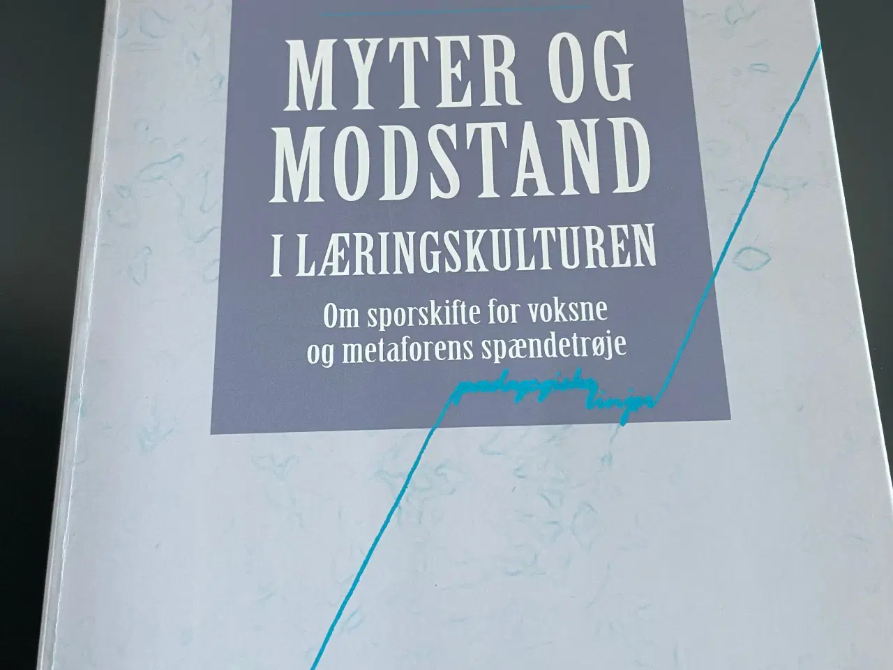 Billede 1 - Myter og modstand i læringskulturen