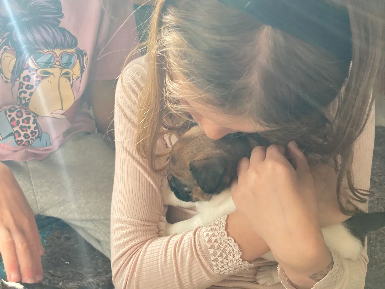 Billede 2 - Dansk Svensk Gårdhund hvalp