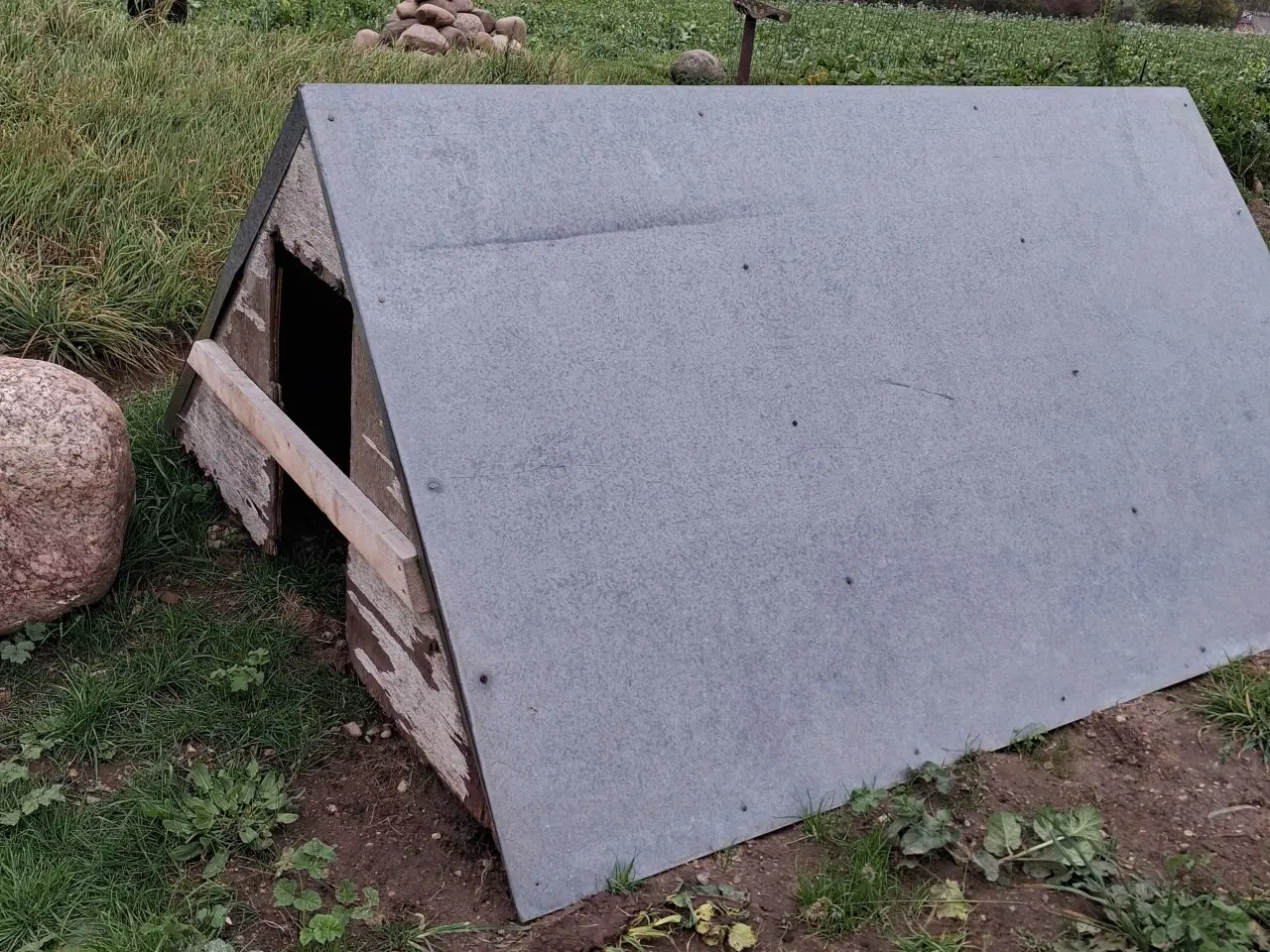 Billede 1 - Ande / gåse  hus  sælges  