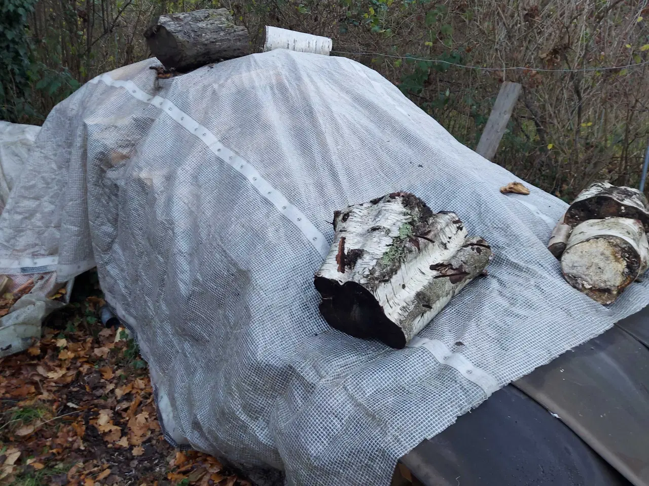 Billede 3 - Løvtræ brænde. 