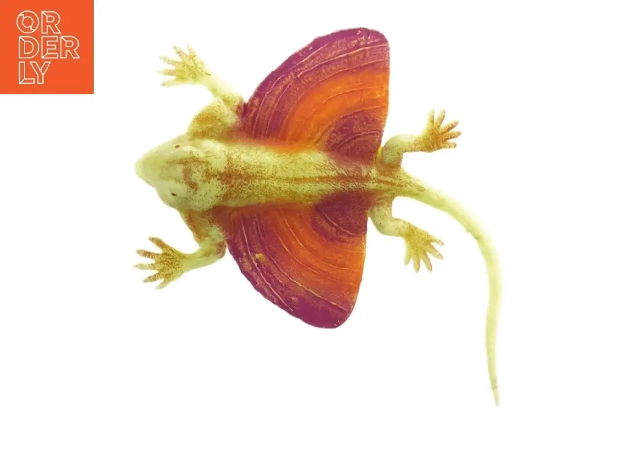 Billede 3 - Flyveøgle (str. 22x12,5 cm)