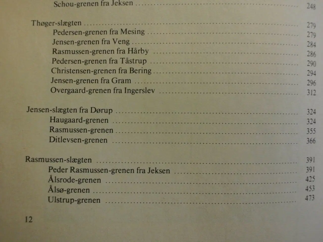 Billede 3 - adslev-slægten 1981 - slægtsbog for efterkommere a