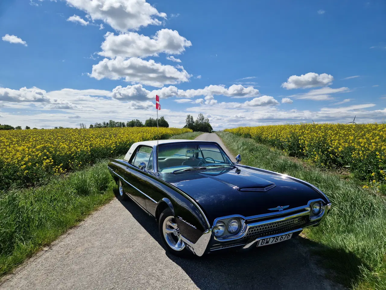 Billede 1 - Ford Thunderbird 
