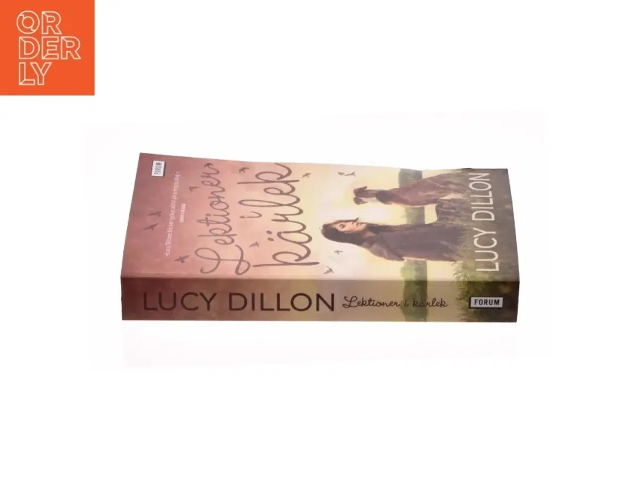 Billede 3 - Lektionen i k&#228;rlek af Lucy Dillon (bog)