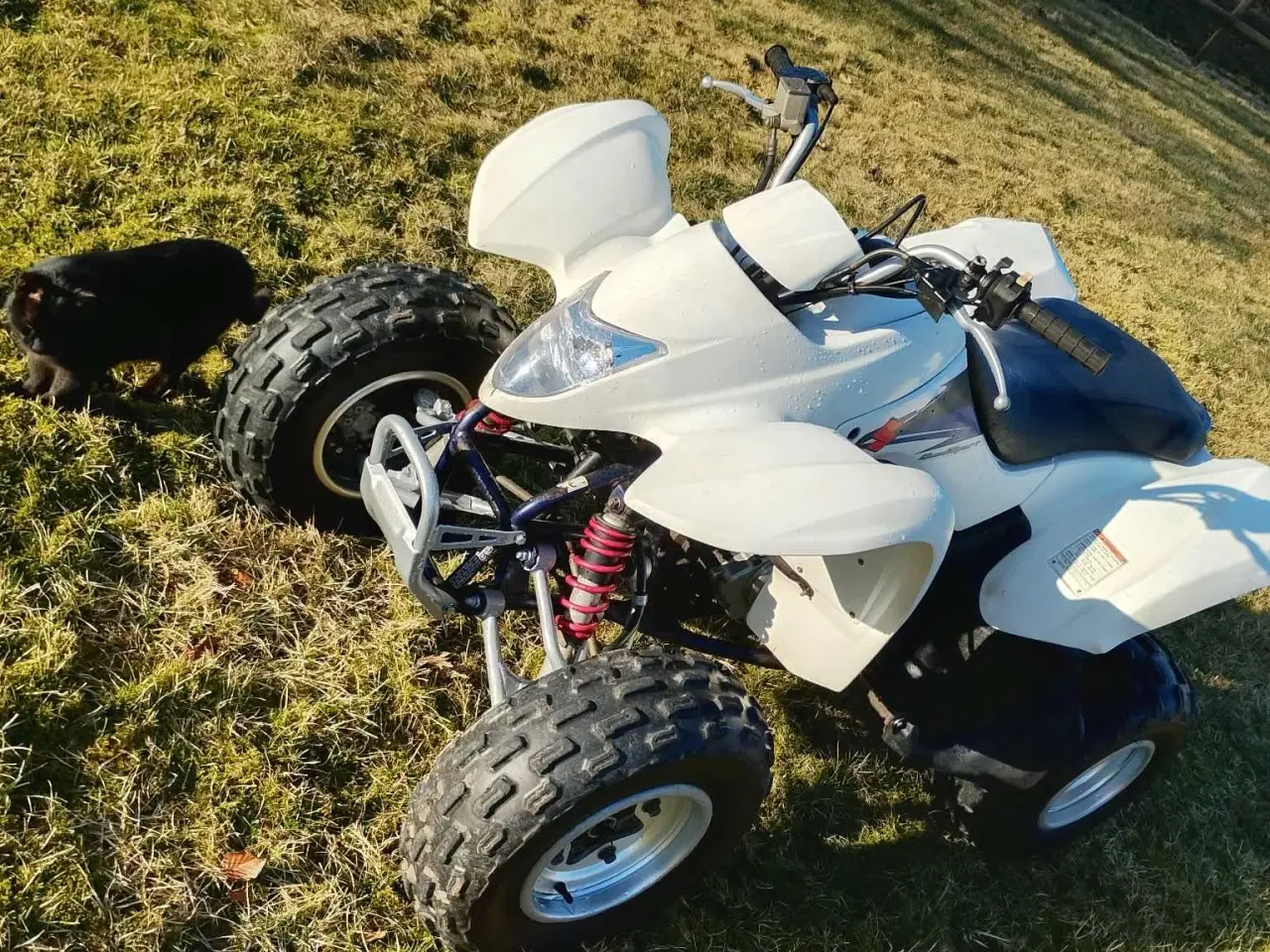 Billede 2 - Suzuki LT-Z 250 atv
