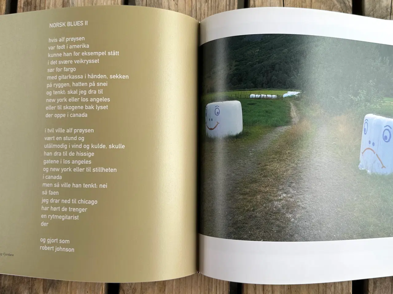 Billede 6 - Norske omveier – i blues og bilder – Norsk
