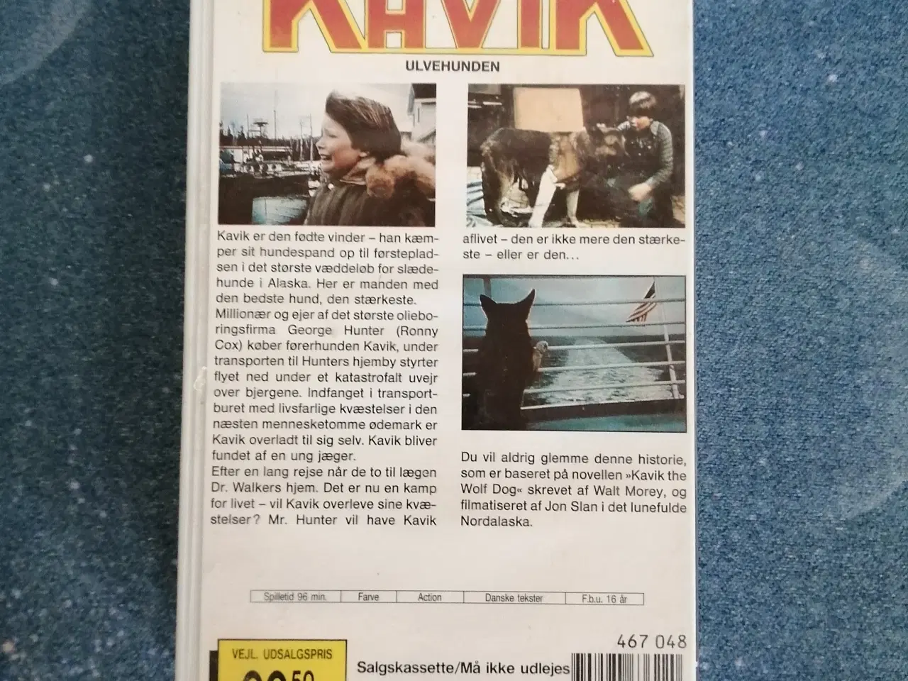 Billede 2 - Kavik Ulvehunden