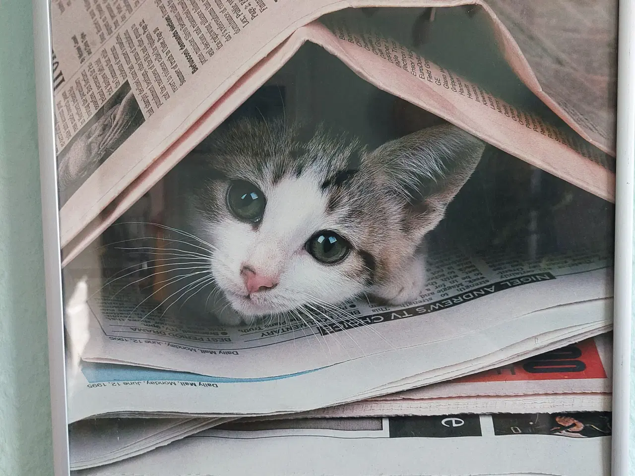 Billede 1 - billeder med glas og alu.ramme