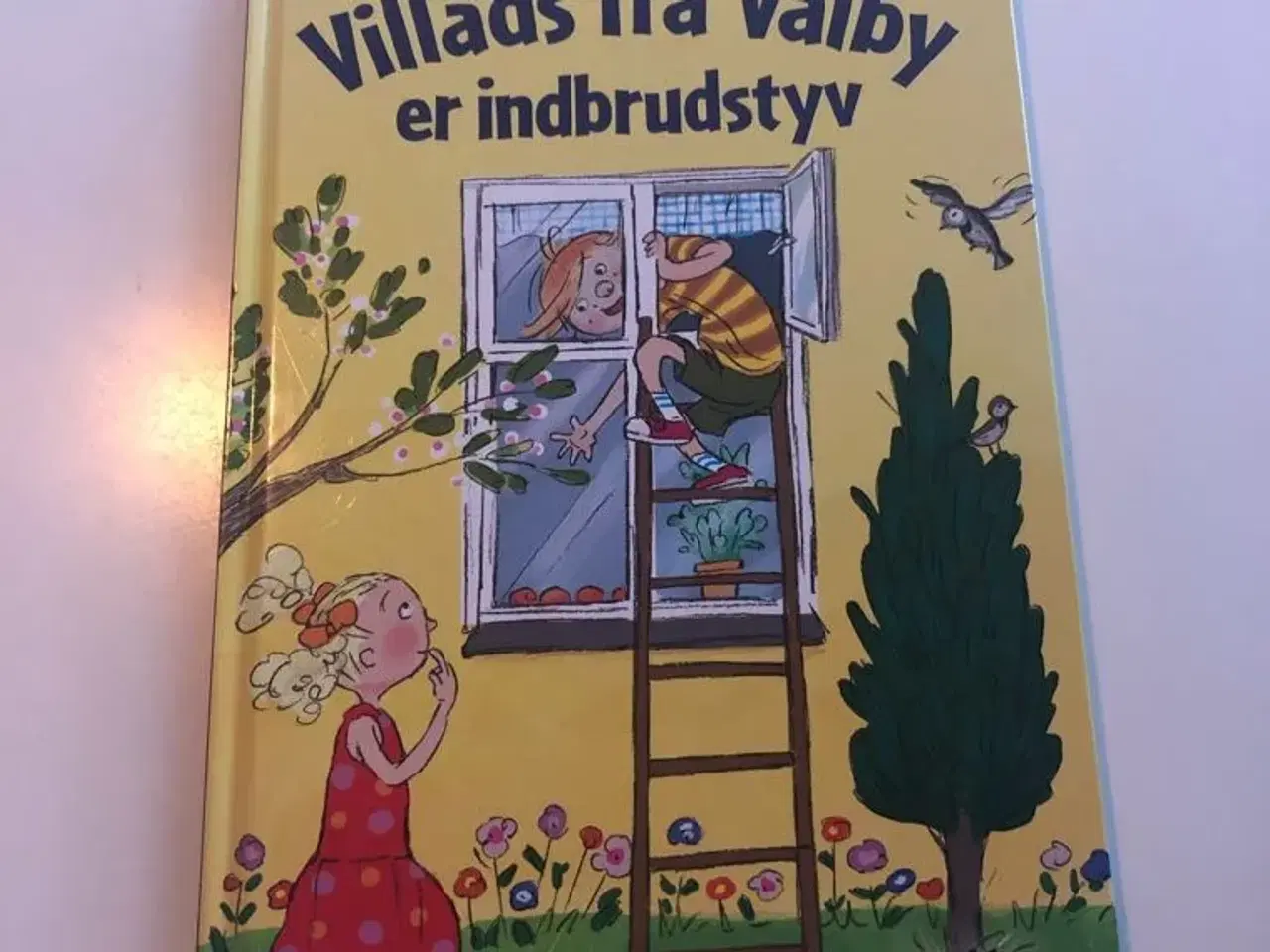 Billede 1 - Villads fra Valby er indbrudstyv