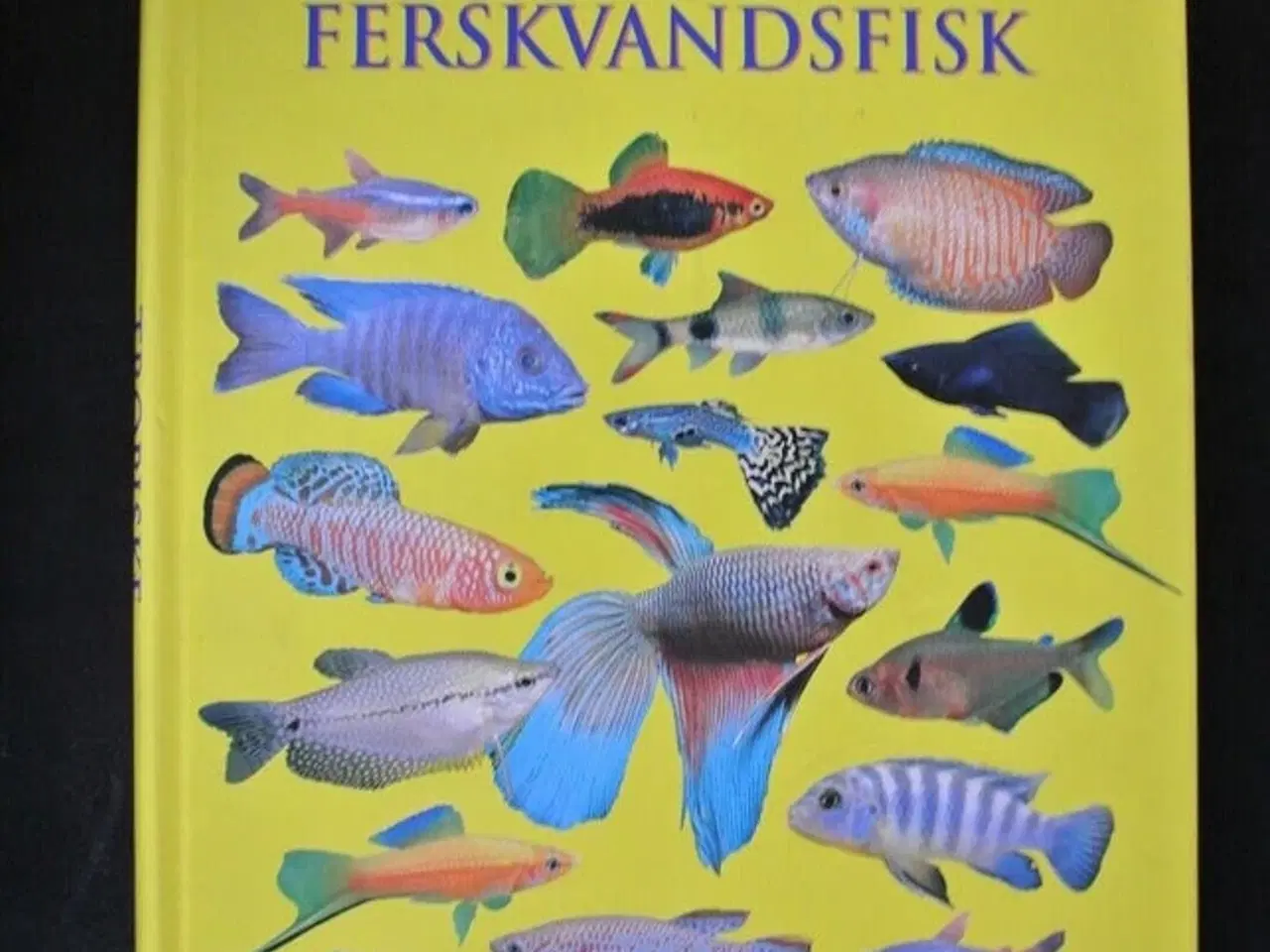 Billede 1 - Akvarie bog