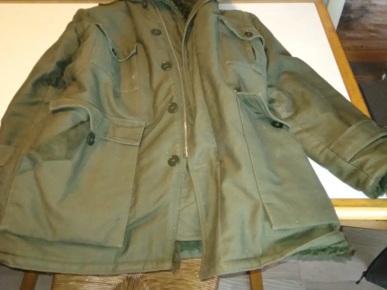 Billede 3 - Mammut....