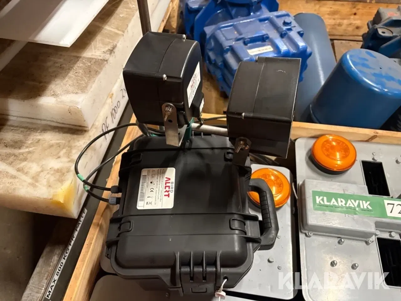 Billede 12 - Bird Alert Wilddetection.com 210032