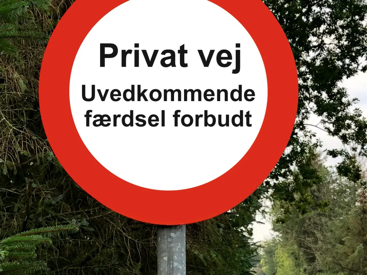 Billede 1 - Vejskilte Ø 50 cm