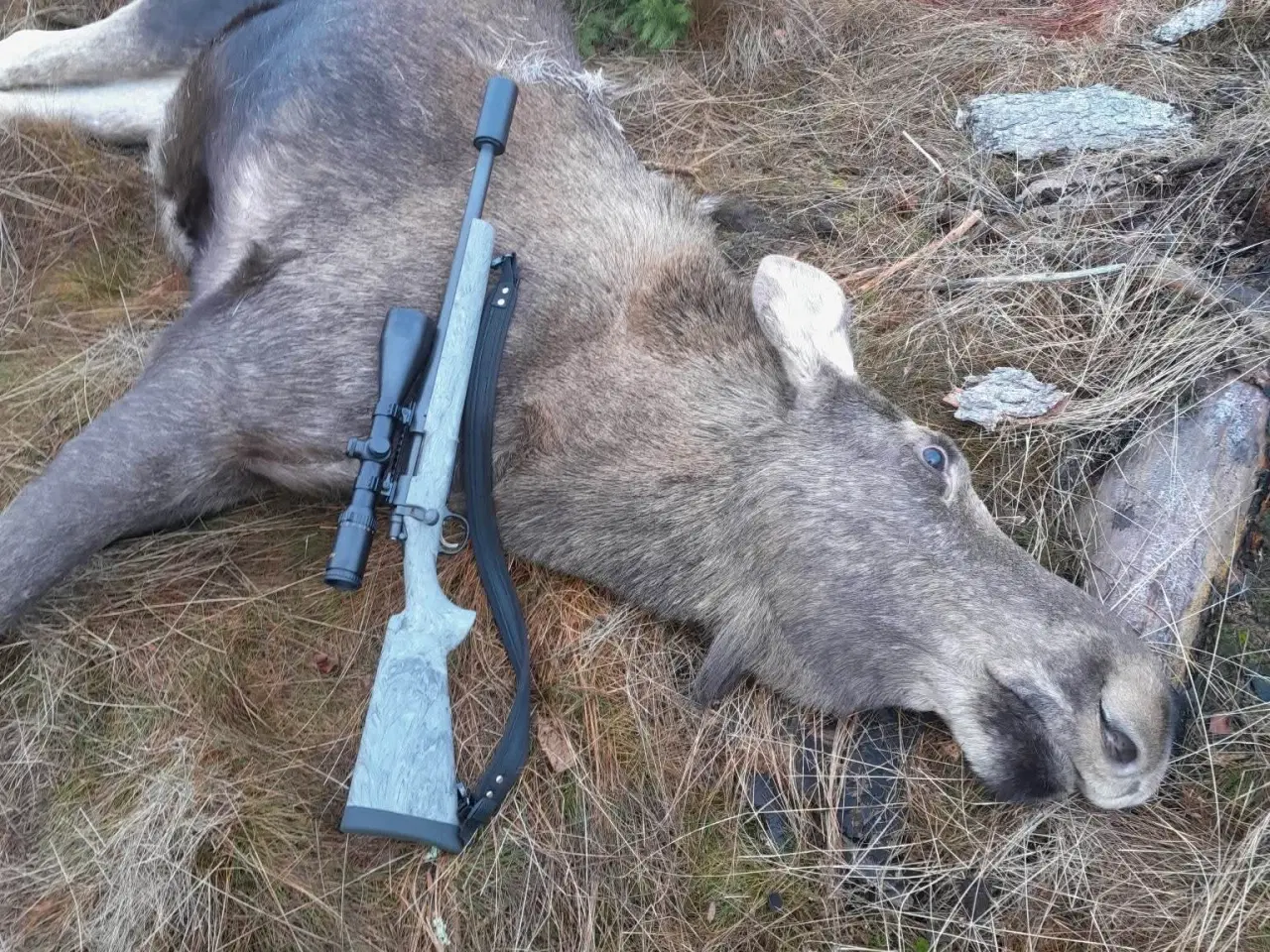 Billede 1 - Swarovski Z6i 1-6 eller z8i 1-8