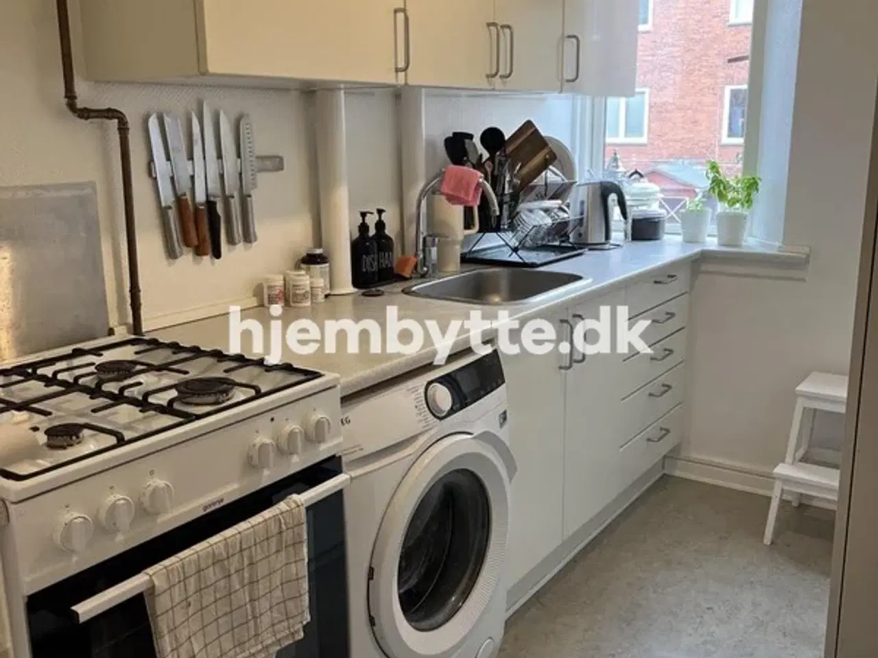 Billede 5 - Hjembytte - Skovduestien