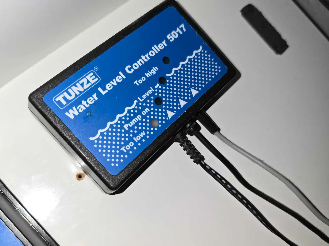 Billede 16 - 450l saltvands akvarium